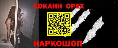 шишки Новозыбков