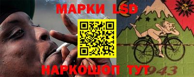 шишки Новозыбков