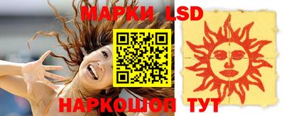 шишки Новозыбков