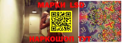 mdpv Новодвинск
