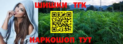 mdpv Новодвинск