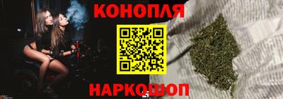 шишки Новозыбков