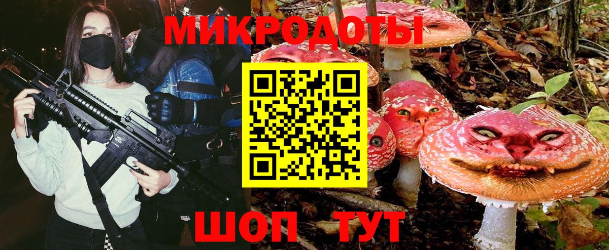 Галлюциногенные грибы Psilocybe Геленджик