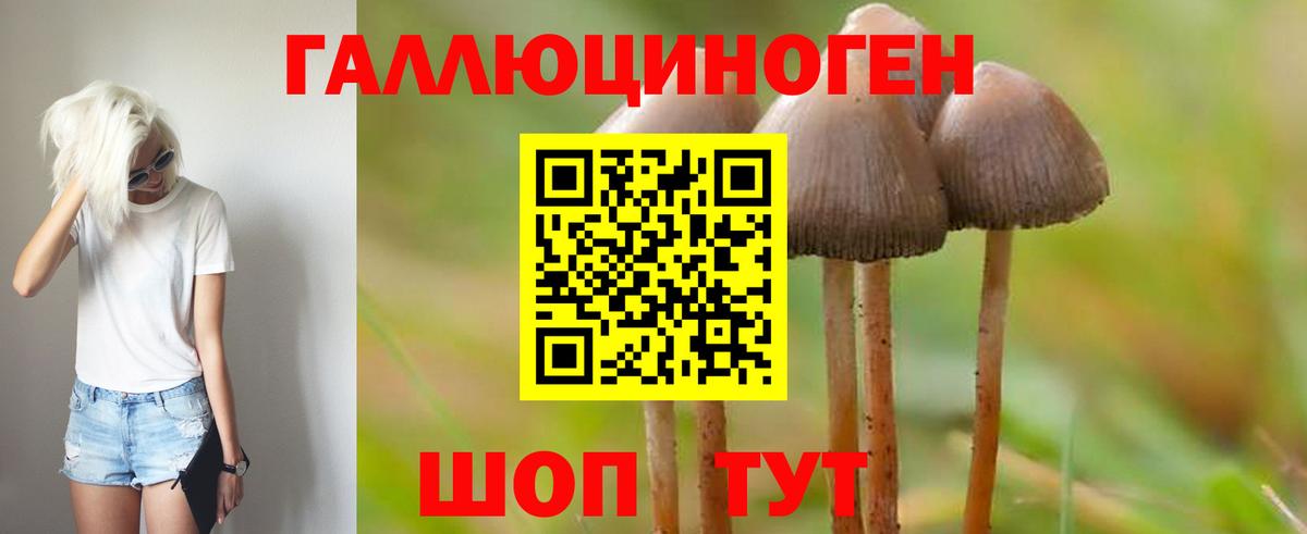 Геленджик  Галлюциногенные грибы GOLDEN TEACHER  Галлюциногенные грибы GOLDEN TEACHER  Вход с VPN 